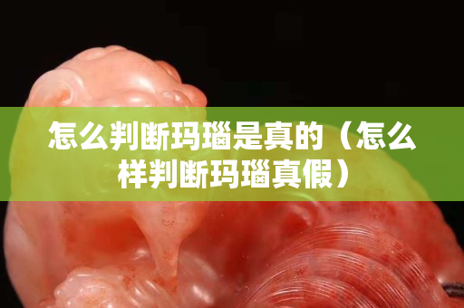 怎么判断玛瑙是真的（怎么样判断玛瑙真假）