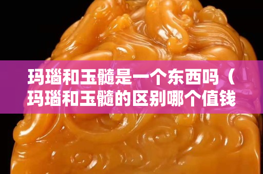 玛瑙和玉髓是一个东西吗（玛瑙和玉髓的区别哪个值钱）