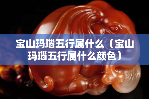 宝山玛瑙五行属什么（宝山玛瑙五行属什么颜色）