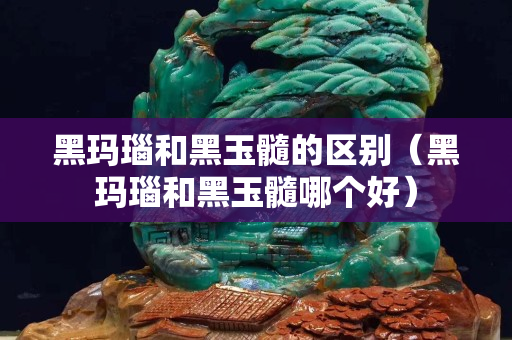 黑玛瑙和黑玉髓的区别（黑玛瑙和黑玉髓哪个好）