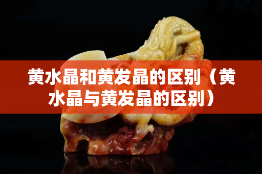 黄水晶和黄发晶的区别（黄水晶与黄发晶的区别）