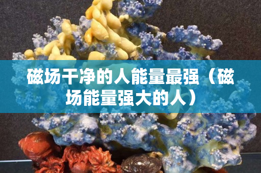 磁场干净的人能量最强（磁场能量强大的人）