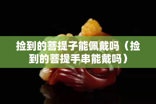 捡到的菩提子能佩戴吗（捡到的菩提手串能戴吗）