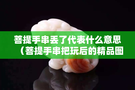 菩提手串丢了代表什么意思（菩提手串把玩后的精品图）
