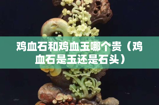 鸡血石和鸡血玉哪个贵（鸡血石是玉还是石头）