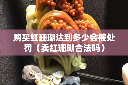 购买红珊瑚达到多少会被处罚（卖红珊瑚合法吗）