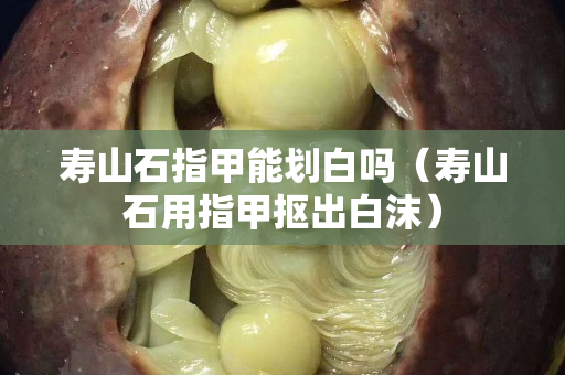 寿山石指甲能划白吗（寿山石用指甲抠出白沫）