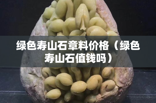 绿色寿山石章料价格（绿色寿山石值钱吗）