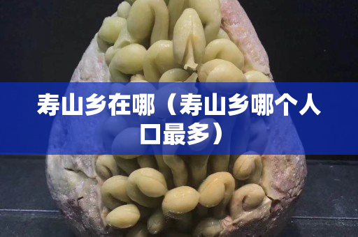 寿山乡在哪（寿山乡哪个人口最多）