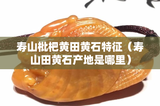 寿山枇杷黄田黄石特征（寿山田黄石产地是哪里）