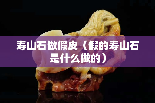 寿山石做假皮（假的寿山石是什么做的）