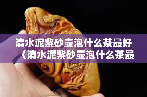 清水泥紫砂壶泡什么茶最好（清水泥紫砂壶泡什么茶最好呢）