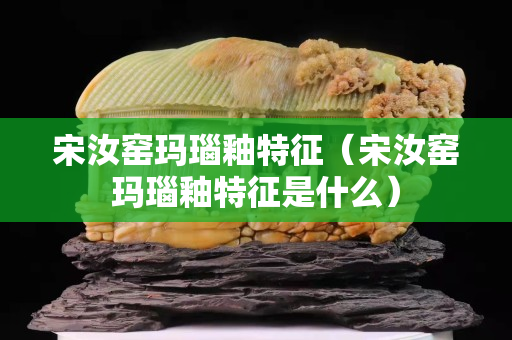 宋汝窑玛瑙釉特征（宋汝窑玛瑙釉特征是什么）