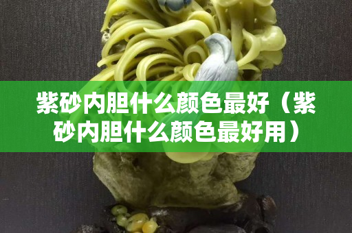 紫砂内胆什么颜色最好（紫砂内胆什么颜色最好用）