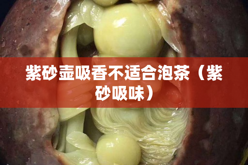 紫砂壶吸香不适合泡茶（紫砂吸味）