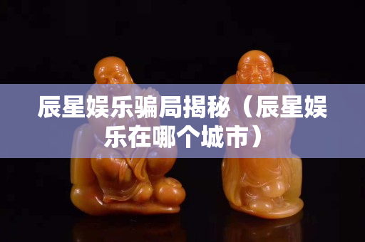 辰星娱乐骗局揭秘（辰星娱乐在哪个城市）