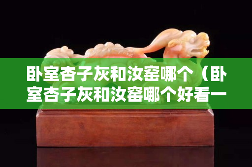 卧室杏子灰和汝窑哪个（卧室杏子灰和汝窑哪个好看一点）