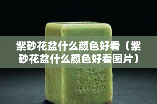 紫砂花盆什么颜色好看（紫砂花盆什么颜色好看图片）