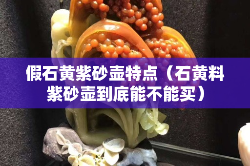 假石黄紫砂壶特点（石黄料紫砂壶到底能不能买）