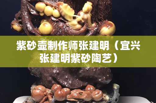紫砂壶制作师张建明（宜兴张建明紫砂陶艺）