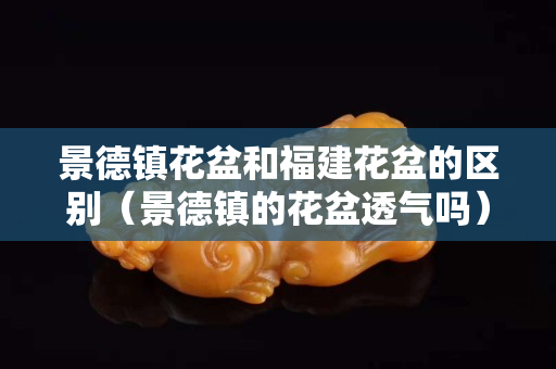 景德镇花盆和福建花盆的区别（景德镇的花盆透气吗）