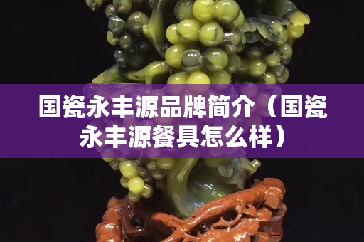 国瓷永丰源品牌简介（国瓷永丰源餐具怎么样）