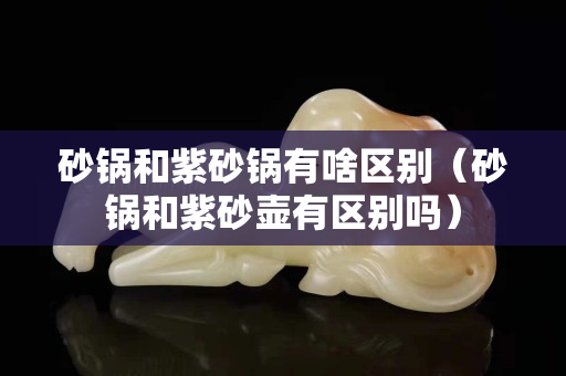 砂锅和紫砂锅有啥区别（砂锅和紫砂壶有区别吗）
