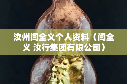 汝州闫全义个人资料（闫全义 汝行集团有限公司）