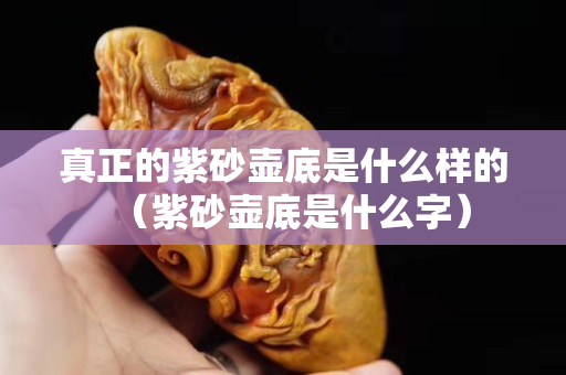 真正的紫砂壶底是什么样的（紫砂壶底是什么字）