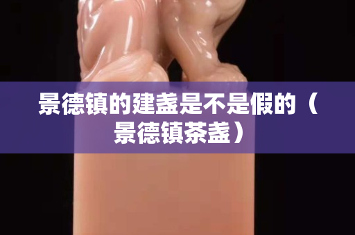 景德镇的建盏是不是假的（景德镇茶盏）