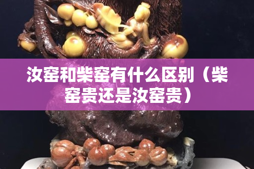 汝窑和柴窑有什么区别（柴窑贵还是汝窑贵）