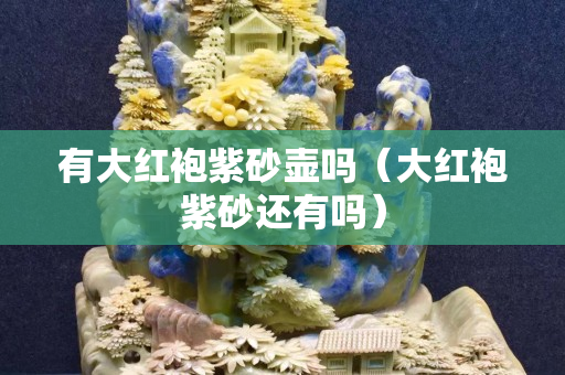 有大红袍紫砂壶吗（大红袍紫砂还有吗）
