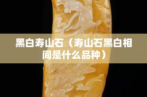 黑白寿山石（寿山石黑白相间是什么品种）