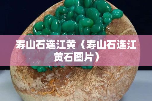 寿山石连江黄（寿山石连江黄石图片）
