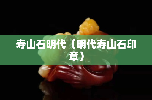 寿山石明代（明代寿山石印章）