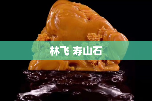 林飞 寿山石