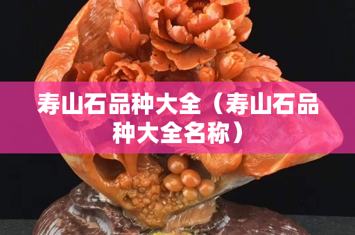 寿山石品种大全（寿山石品种大全名称）