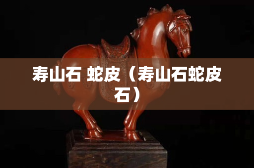 寿山石 蛇皮（寿山石蛇皮石）