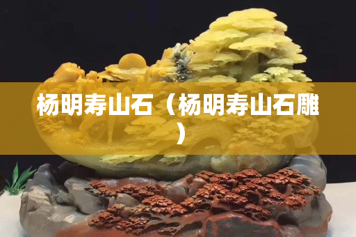 杨明寿山石（杨明寿山石雕）