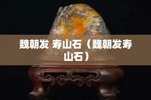 魏朝发 寿山石（魏朝发寿山石）