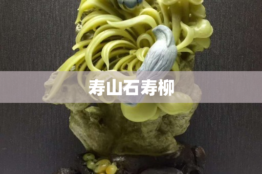 寿山石寿柳