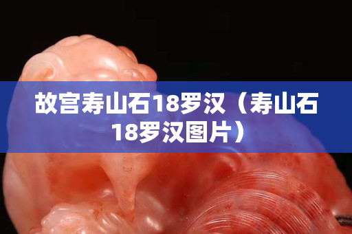 故宫寿山石18罗汉（寿山石18罗汉图片）