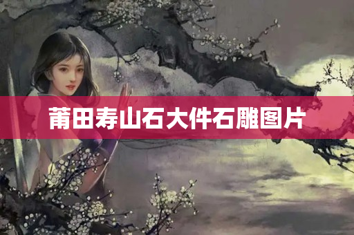 莆田寿山石大件石雕图片