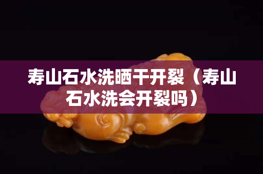 寿山石水洗晒干开裂（寿山石水洗会开裂吗）