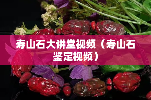 寿山石大讲堂视频（寿山石鉴定视频）
