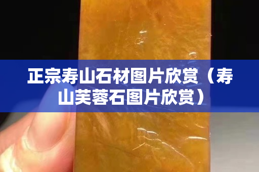 正宗寿山石材图片欣赏（寿山芙蓉石图片欣赏）