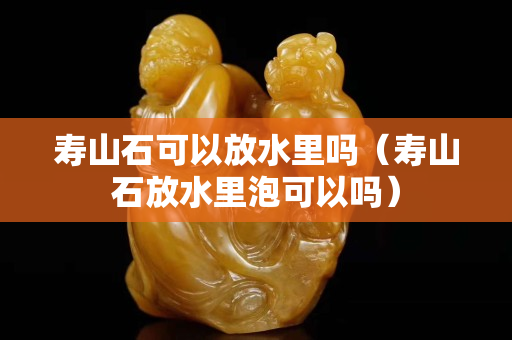 寿山石可以放水里吗（寿山石放水里泡可以吗）