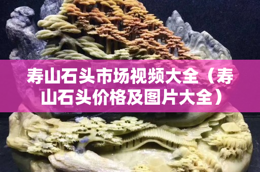 寿山石头市场视频大全（寿山石头价格及图片大全）