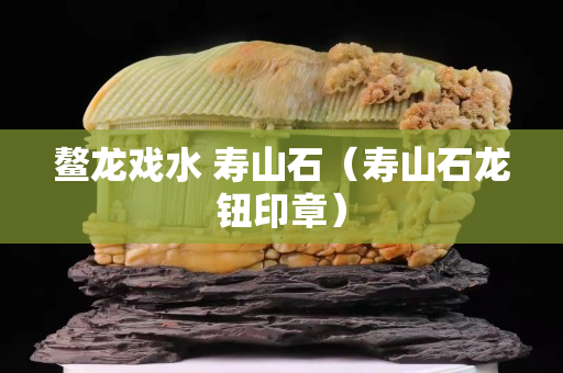鳌龙戏水 寿山石（寿山石龙钮印章）