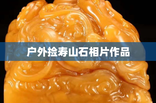 户外捡寿山石相片作品